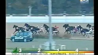 Gran premio Orsi Mangelli, Milano 01/11/2001 - Scarlet Knight