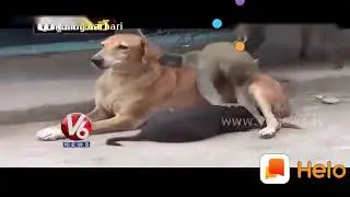 Very funny V6 news