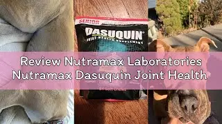 Review Nutramax Laboratories Nutramax Dasuquin Joint Health Supplement for Large Senior Dogs &ndash; for I