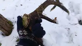 Zrzuty jelenia 2026 Rozpoczynamy sezon #1 Zeszłoroczny 10tak