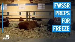 FWSSR prepares for freezing weather | NBC DFW