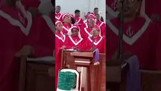 The stars are shining ,the saints are rejoicing, Saviour is born ,happy Christmas in advance 
