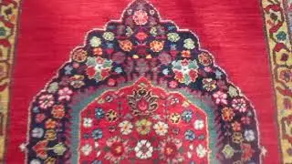 Beautiful Persian Rugs on SALE!