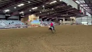 M R Vegas Royalty 2020 bay roan mare 