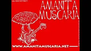 Amanita Muscaria - Amanita Muscaria