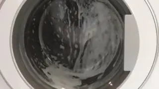 First spin First rinse Susdlock Mixed Dog Bedding Blomberg Part 3