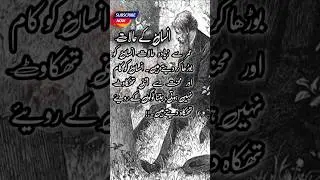 Insane key halat #shorts #shortsfeed #shortclip #shortvideo #viralshort #trendingshorts #mafrajput