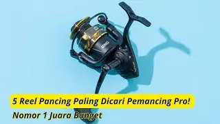 5 Reel Pancing Terbaik Harga Masuk Akal: Nyesel Beli yang Mahal!