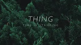 Thing - Time Is Standing (Dubthing Records)