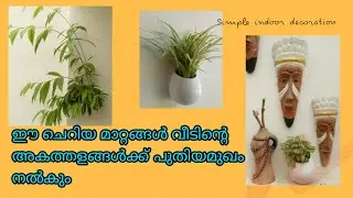 Indoor plant ideas | costless indoor decoration | simple indoor style