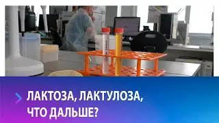 Найдены первые в стране производители уникального пребиотика &ndash; лактулозы