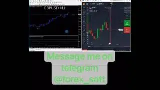 Forex EA and indicator mt4 ,mt5  profitable guarantee working available 