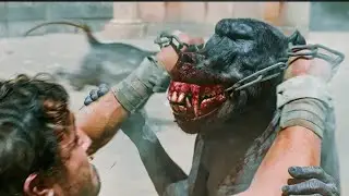 New movie explanation video in hindi। movie name: Gladiator 2