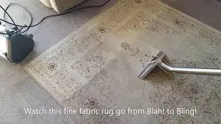 Knight & Doyle Professionally Cleaning A Faux Silk Rug