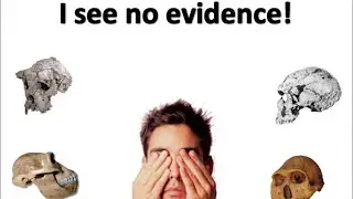 Evidence the Evolution Show EP10 ALL the evidence of evolution (part 2)
