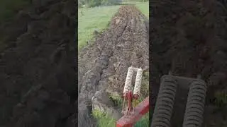 German Short-haired Pointer  helps plow virgin ground