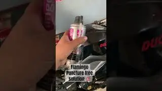 Flamingo puncture free solution 💯 #automobilenews #automobile #carparts #puncture #shahdiamondone