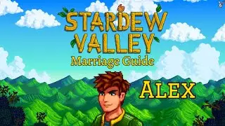 Руководство по бракам в Stardew Valley &mdash; Алекс