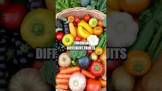 The Benefits of Meal Variety for Nutritional Balance