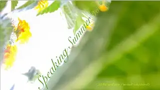 SpeakingSummer(2024)