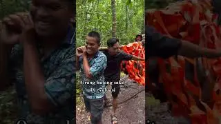 let's see the real jungle #borneo