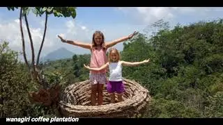 The Best Coffee Plantation In Bali || organic coffee  nothing luwak in the cages