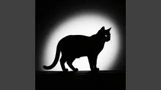 Dark Sigma Cat Anthem