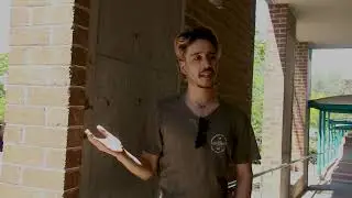 Short Wild Cat Documentary