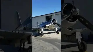 F4U Corsair walk around #planespotting #aviation #military #f4u #whistlingdeath #shrots