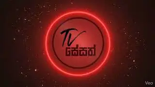 Logo reveal -3