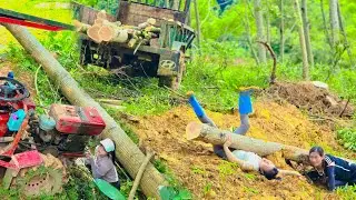 Agricultural vehicle: The arduous and unfortunate day of two sisters working in logging. Vietnamese.