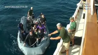 Solmar V Tauchsafari Socorro / Aqua Active Agency