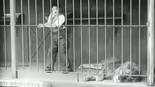 Charlie Chaplin Bodo Comedy Video 2019 !! New Bodo Video 2019 !!