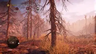 Far Cry Primal GTX 970 OC I7 4790K