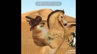 b&iacute; &yacute; tưởng tập 1 cre:@spotless_intern #cheems#cheemsdog#meme#viral#animation#cheemsamedit