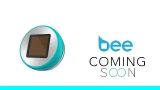 Bee | World's Smallest Wallet & Payment Wearable