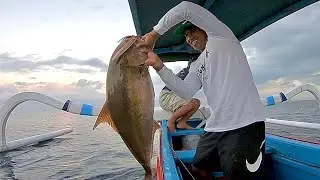 SPOT PREDATOR LUAR BIASA || STRIKE BERTUBI-TUBI BIKIN PINGGANG PANAS !!!