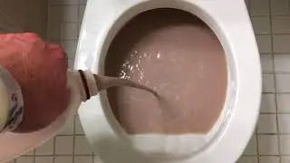 Will it Flush? - Best Chocolate Milk
