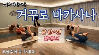 [엔젤요가] 거꾸로 바카사나 | 골반풀고열고 | 굳은어깨풀고 | 코어만들기 | 후굴후엔 꼭 전굴📌