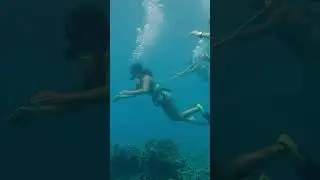 Dip more than your toes in the water with a SNUBA adventure #travel #kona #snorkel #hawaii #snuba