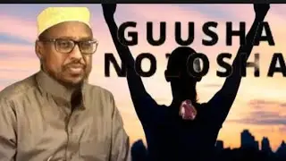 Guusha nolosha sheekh mustafe 