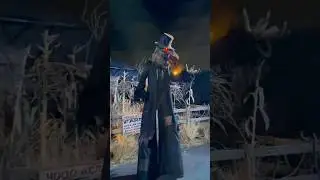 Kingcrow from the Maze Scarecrow: Music by Slash at Halloween Horror Nights 2025 #fyp #viral #hhn
