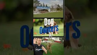 Burlington Dog Owners: 6 Rules You MUST Know! #doglover #ontario