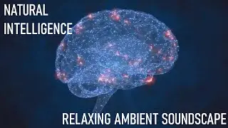 Relaxing Musical Soundscape - Natural Intelligence - Fast Drum N' Bass Beats - Synths/Vocals/Chops