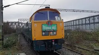 D1015 1Z52 DUDDESTON 20/12/25