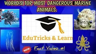 World's Deadliest MARINE Animals!! / TOP 10 DANGEROUS AQUATIC ANIMALS...