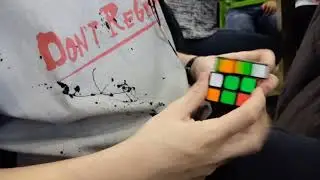 Elephant solved Rubik's cube blindfolded