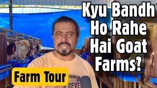 RK Goat Farm Tour Series | Episode 3