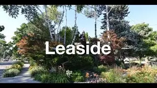 Toronto Neighbourhoods | Leaside