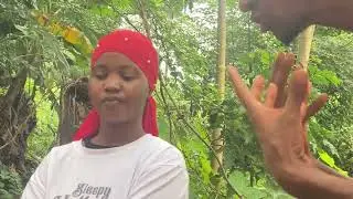 Gourdan Alyatima EP 86